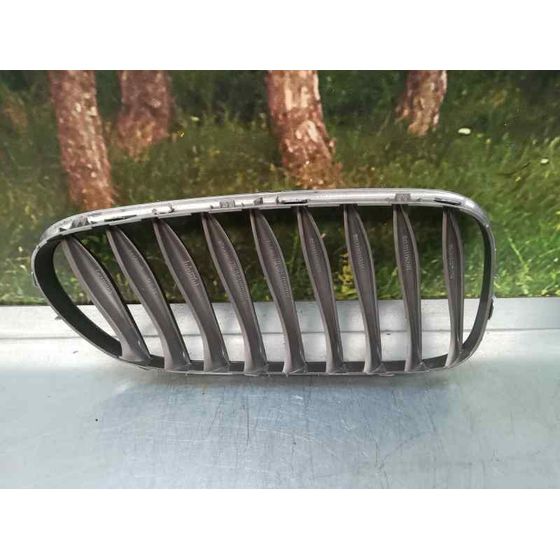 Rejilla Delantera Para Bmw Z4 Coupe