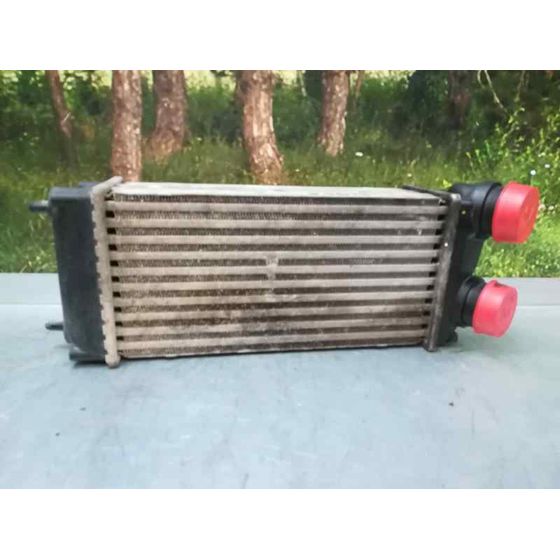 Intercooler Para Peugeot 307 Berlina