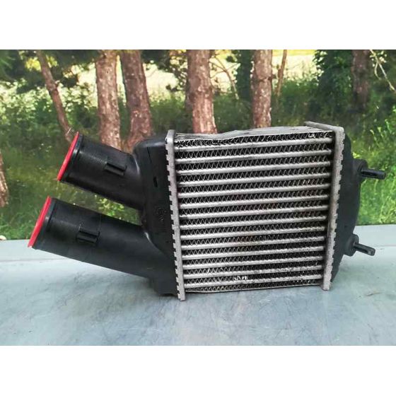 Intercooler Para Renault Scenic Rx4