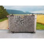Condensador / Radiador Aire Acondicionado Para Citroen C4 Picasso