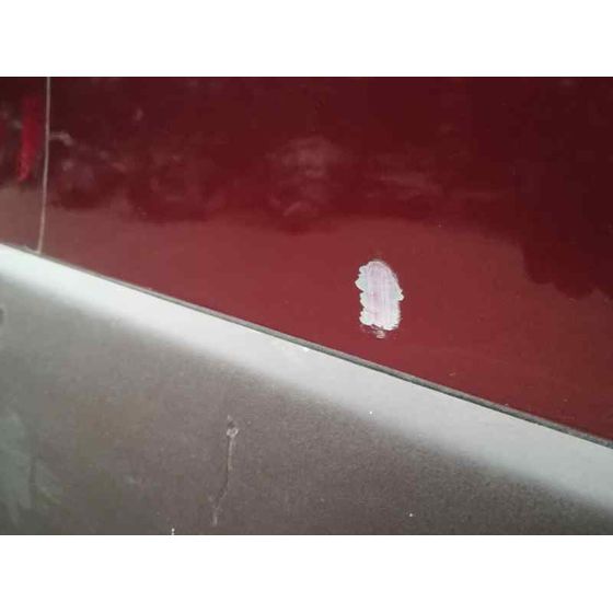 Puerta Delantera Derecha Para Renault Scenic Rx4