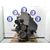 Motor Completo Para Ford Fiesta Courier