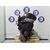 Motor Completo Para Seat Ibiza