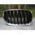 Rejilla Capo Der para Bmw X5 (E70)