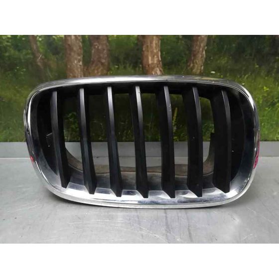 Rejilla Capo Der para Bmw X5 (E70)