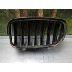 Rejilla Capo Der para Bmw X5 (E70)
