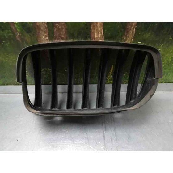 Rejilla Capo Der para Bmw X5 (E70)