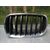 Rejilla Capo Izq para Bmw X5 (E70)