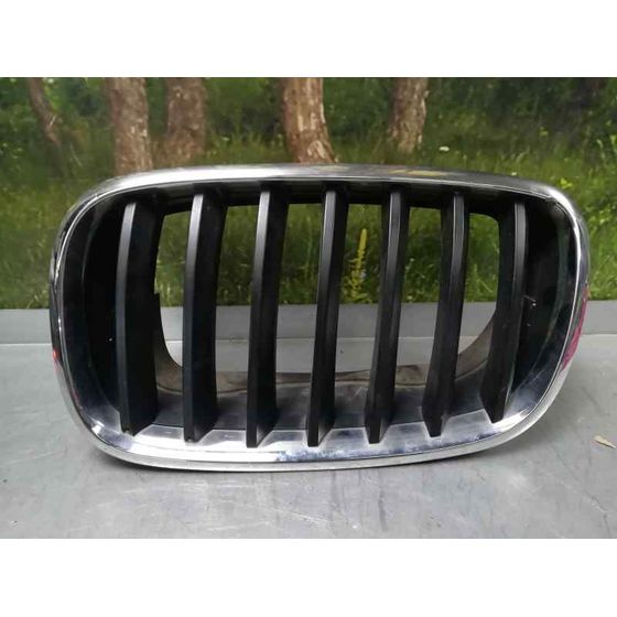 Rejilla Capo Izq para Bmw X5 (E70)