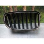 Rejilla Capo Izq para Bmw X5 (E70)