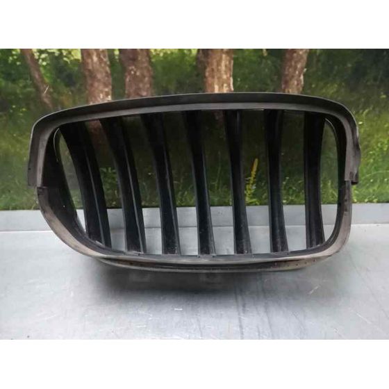 Rejilla Capo Izq para Bmw X5 (E70)