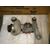 Diferencial Trasero para Renault Scenic Rx4
