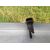 Caudalimetro para Toyota Prius (Nhw30)