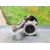 Bomba Direccion Para Chevrolet Aveo