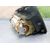 Kit Airbag Para Mazda 6 Berlina