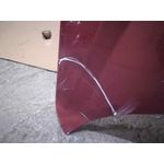 Capot Para Renault Scenic Rx4