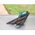 Retrovisor Derecho Para Honda Prelude