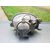 Faro Derecho Para Renault Twingo