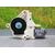 Motor Elevalunas Trasero Izquierdo Para Audi A1 Sportback