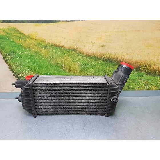 Intercooler Para Peugeot 308 Sw