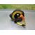 Kit Airbag Para Toyota Rav 4
