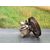 Bomba Direccion Para Peugeot 306 Berlina 3/4/5 Puertas