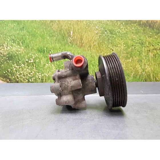 Bomba Direccion para Seat Inca (6K9)