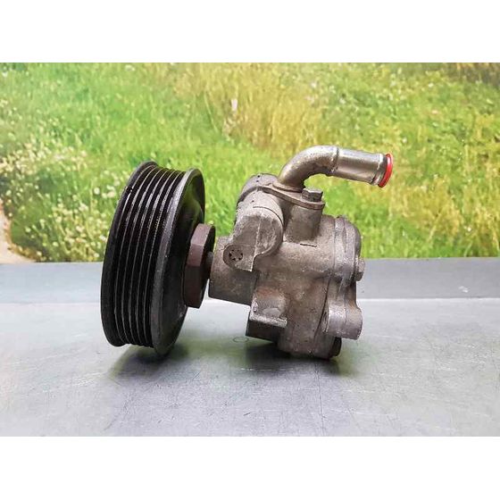 Bomba Direccion para Seat Inca (6K9)