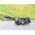 Mando Luces Para Toyota Auris
