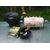 Kit Airbag Para Lexus Is200