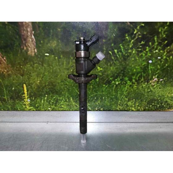 Inyector Para Peugeot 307 Berlina