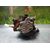 Bomba Inyeccion para Nissan X-Trail (T31)