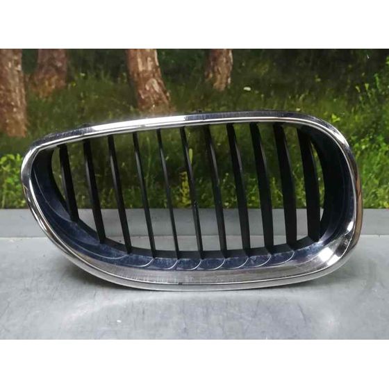 Rejilla Delantera Para Bmw Serie 5 Berlina