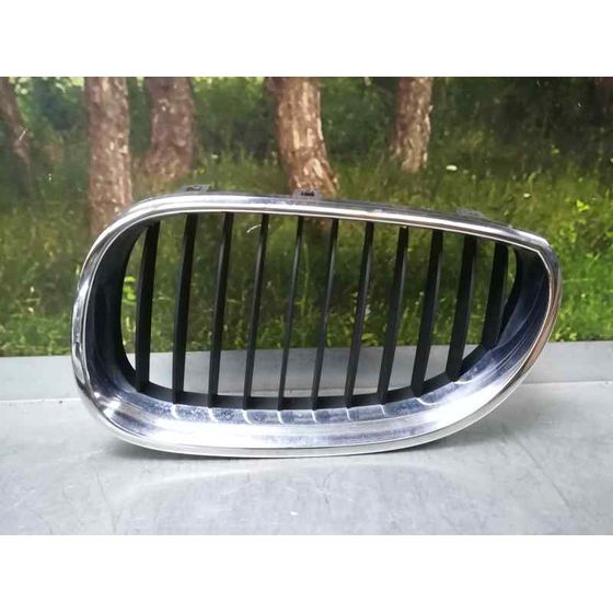 Rejilla Delantera Para Bmw Serie 5 Berlina