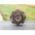 Ventilador Viscoso Motor para Toyota Land Cruiser (J12)