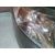 Faro Derecho Para Hyundai Santa Fe