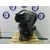 Motor Completo Para Suzuki Swift Berlina