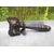 Mando Limpia Para Renault Scenic