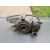 Faro Izquierdo Para Fiat Seicento