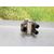 Bobina Encendido Para Fiat Seicento