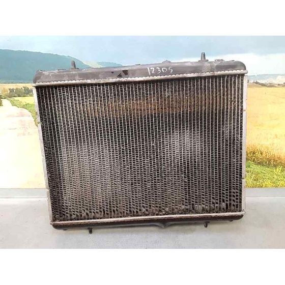 Radiador Agua Para Peugeot 2008