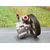 Bomba Direccion Para Peugeot 406 Berlina