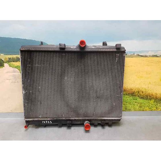 Radiador Agua Para Peugeot 207 Sw