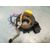 Kit Airbag Para Skoda Octavia Berlina