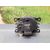 Faro Antiniebla Izquierdo Para Peugeot 307 Berlina