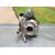 Turbocompresor para Renault Koleos