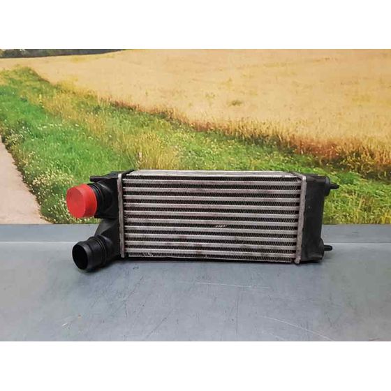 Intercooler Para Peugeot 307 Break/Sw