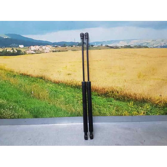 Amortiguadores Maletero / Porton Para Dacia Sandero