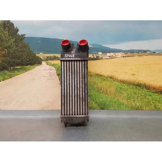 Intercooler Para Citroen Berlingo