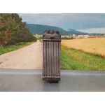 Intercooler Para Citroen Berlingo